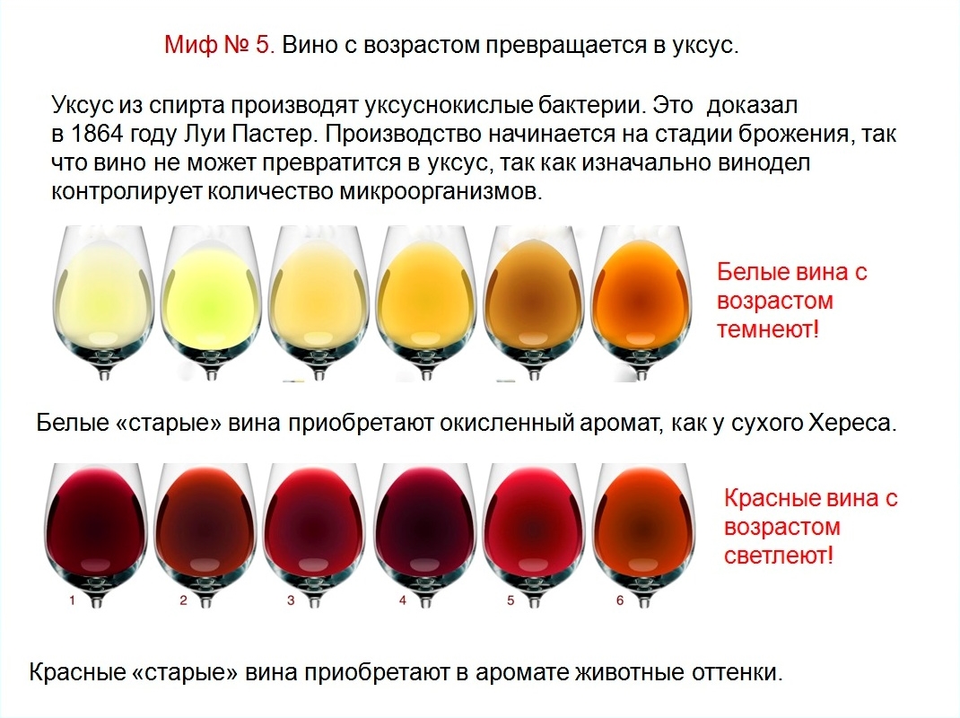Почему после красного вина. Цвет белого сухого вина. Цветность белого вина. Цвет белых вин. Цвет вина таблица.